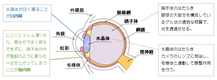 圧 方法 下げる 眼 を